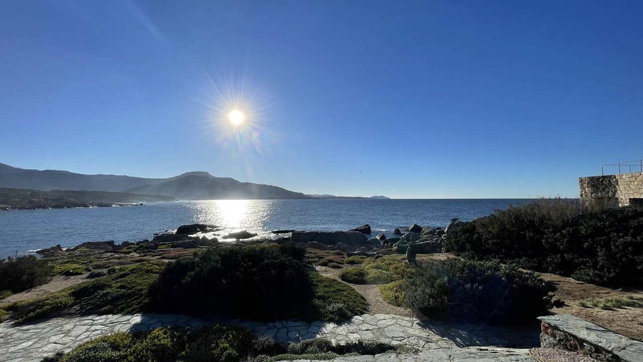 Photo of Others in Marine de Davia