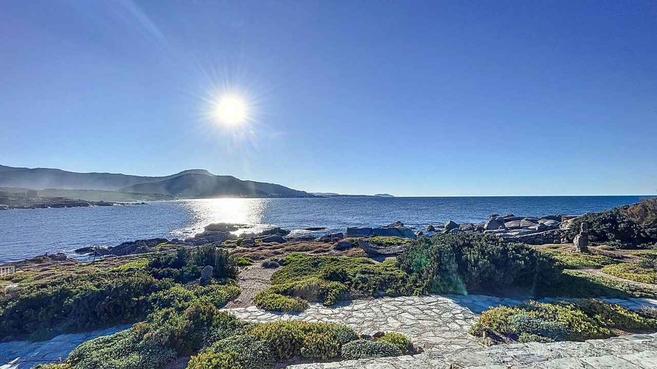 Photo of Others in Marine de Davia