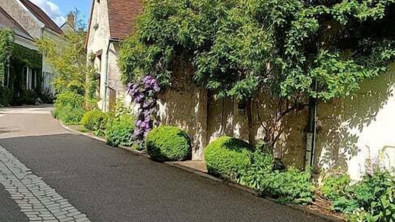 Photo of Outdoor in Chedigny