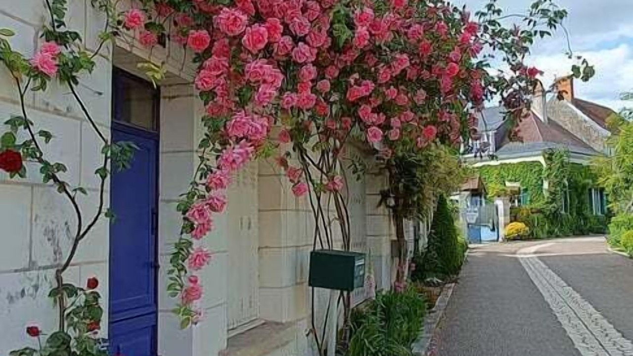 Photo of Outdoor in Chedigny