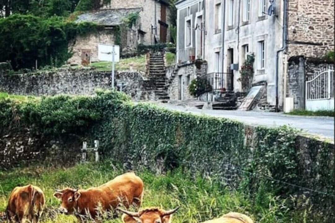 Photo of Outdoor in Bersac-sur-Rivalier