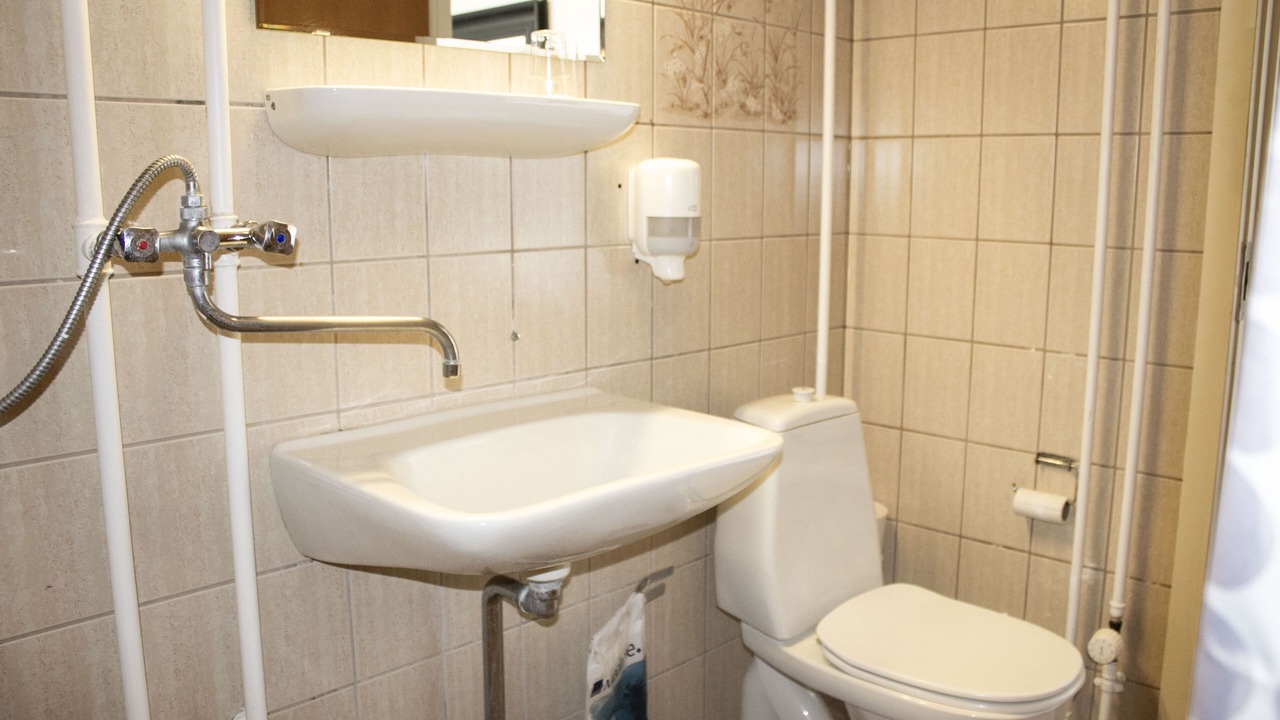 Photo of Bathroom in Hedehusene