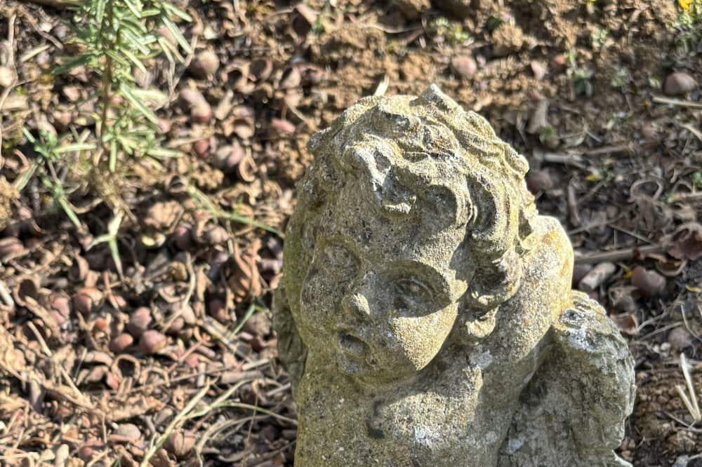 Photo of Outdoor in Coulon