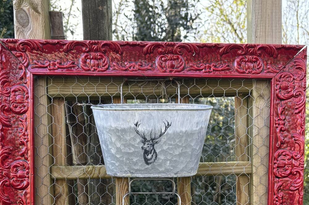 Photo of Outdoor in Coulon