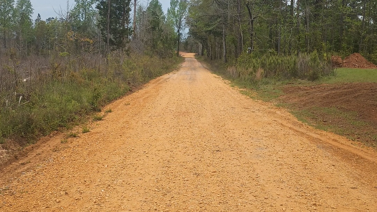 Photo of Outdoor in Chapman