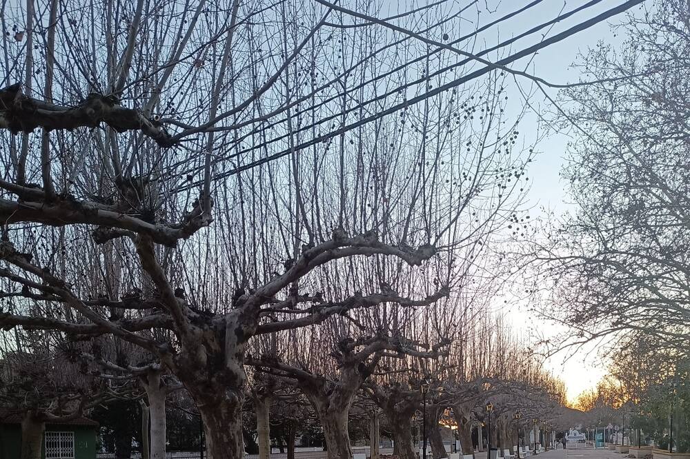 Photo of Outdoor in Caudete de las Fuentes