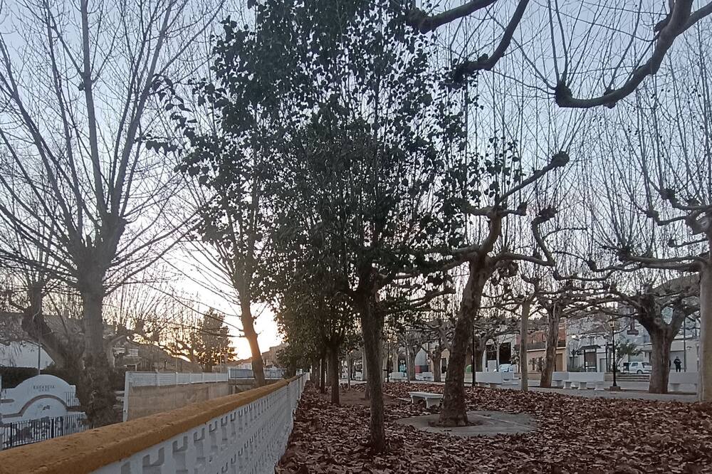 Photo of Outdoor in Caudete de las Fuentes