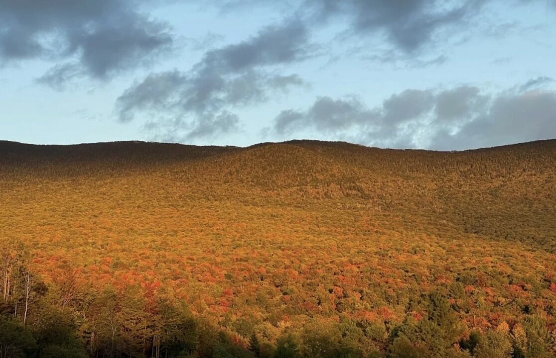 Photo of Others in Bristol