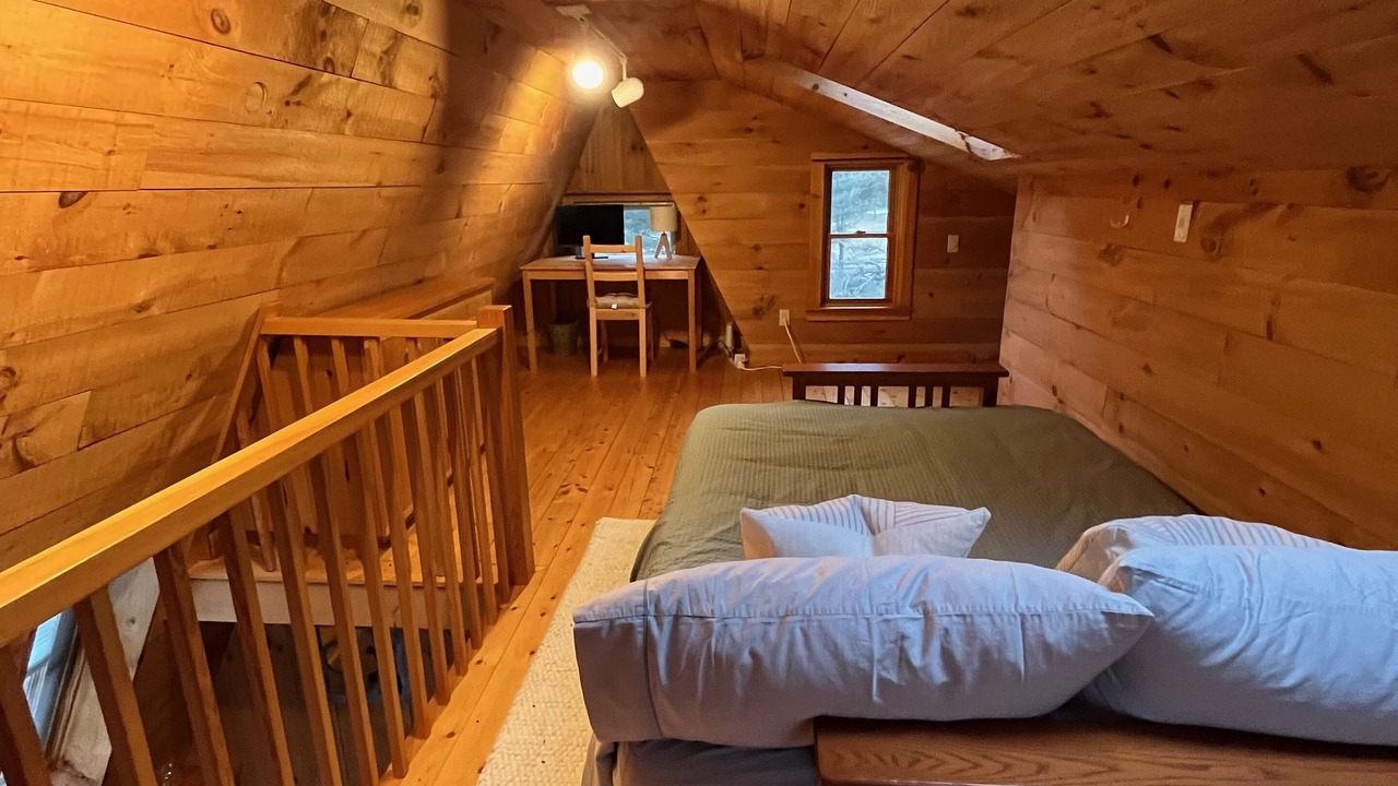 Photo of Others in Bristol