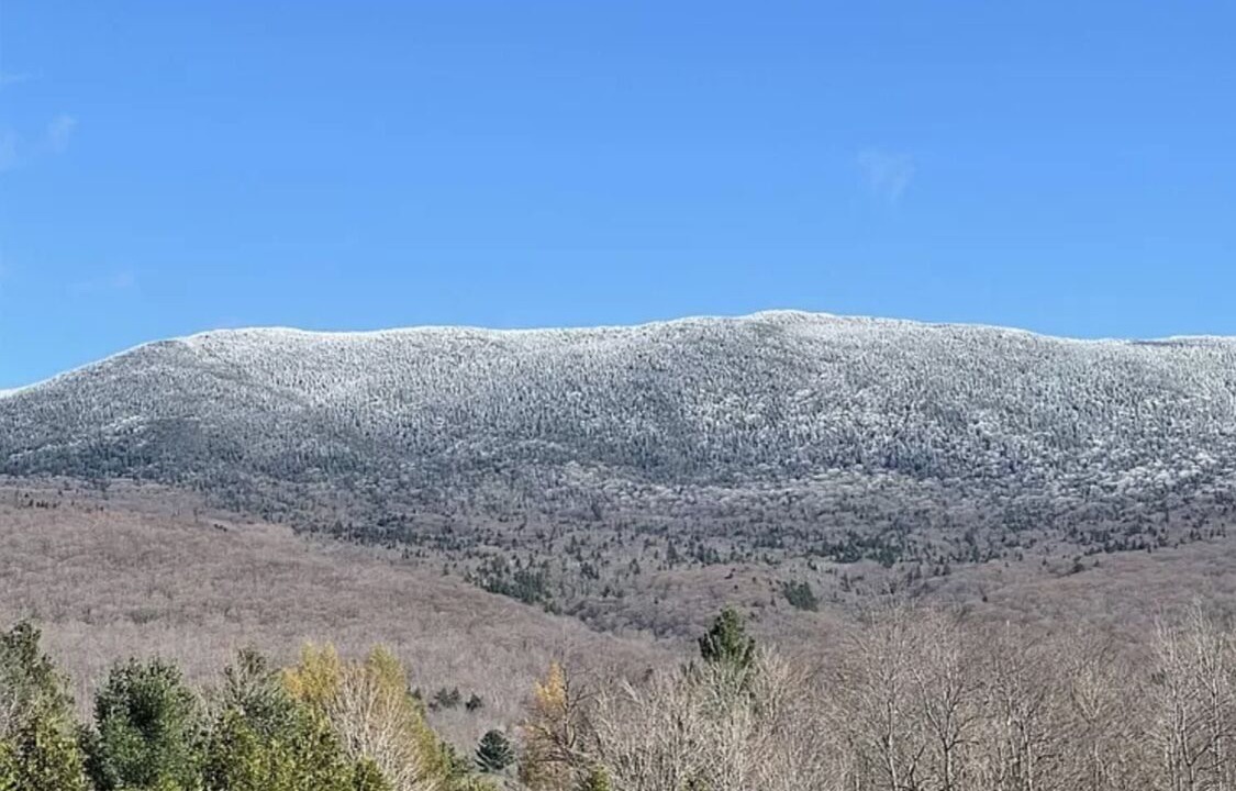 Photo of Others in Bristol