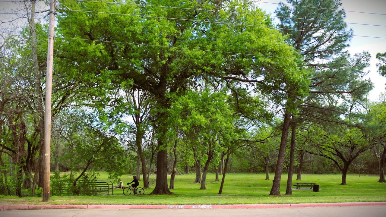 Photo of Others in Euless