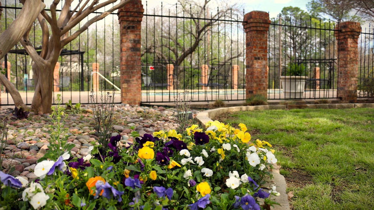 Photo of Outdoor in Euless