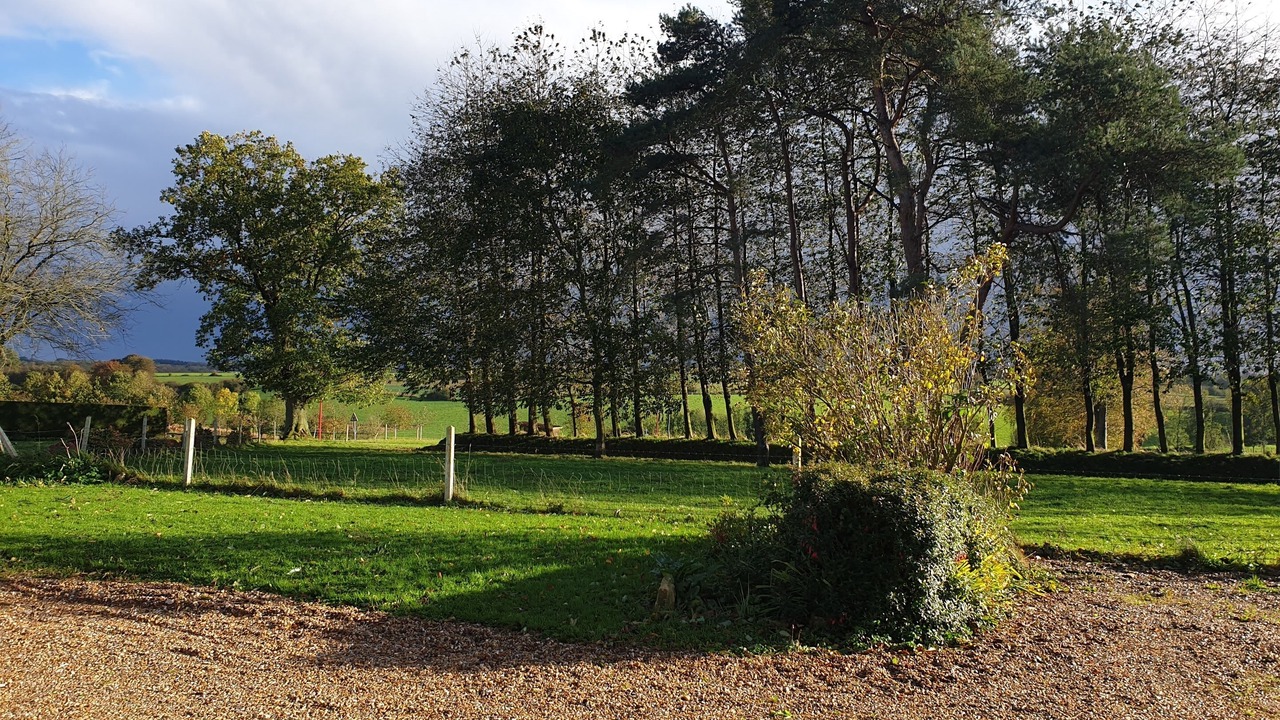 Photo of Outdoor in Vassonville