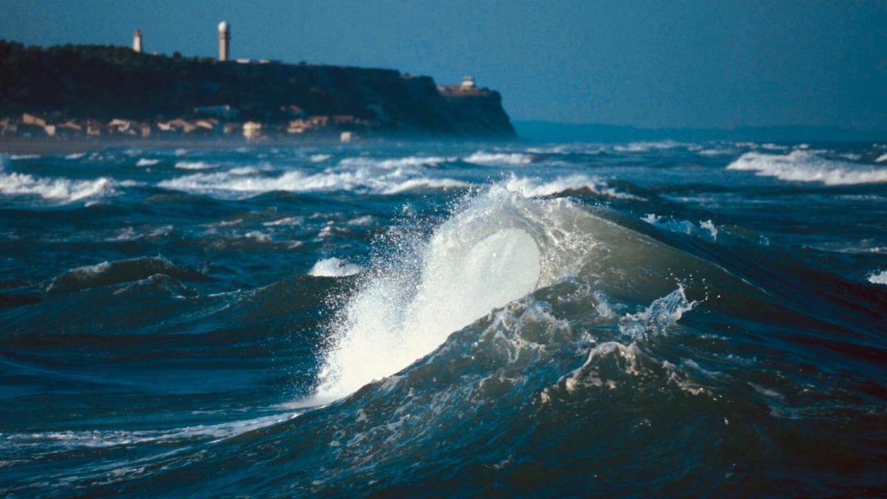Photo of Others in Leucate