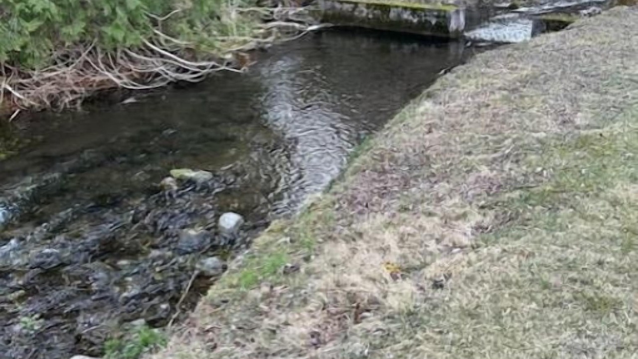 Photo of Others in Hamilton Township