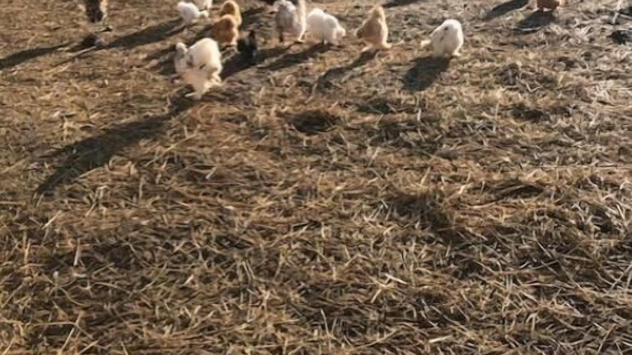 Photo of Others in Hamilton Township