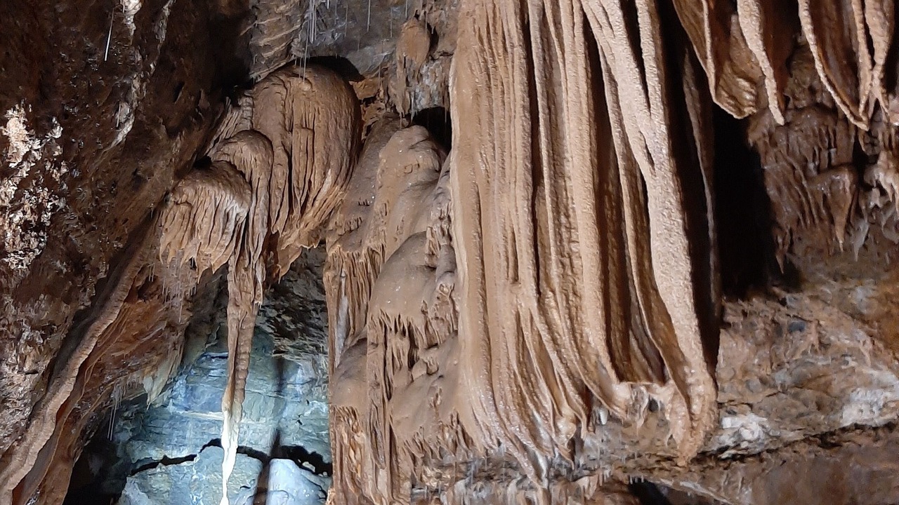 Photo of Others in Saint-Jean-de-Crieulon