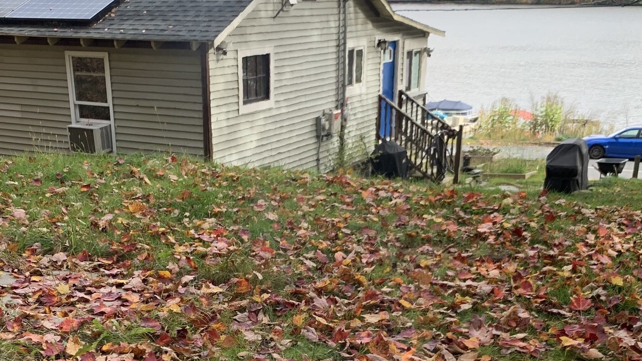 Photo of Outdoor in Enfield