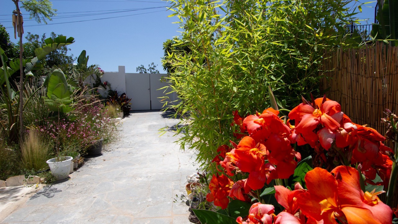 Photo of Outdoor in El Castell de Montornes