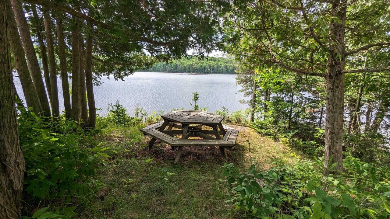 Photo of Outdoor in McKellar