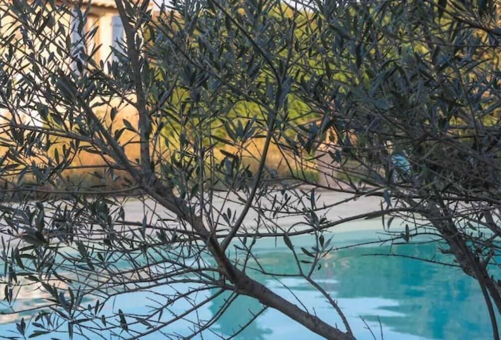 Photo of Outdoor in Azille