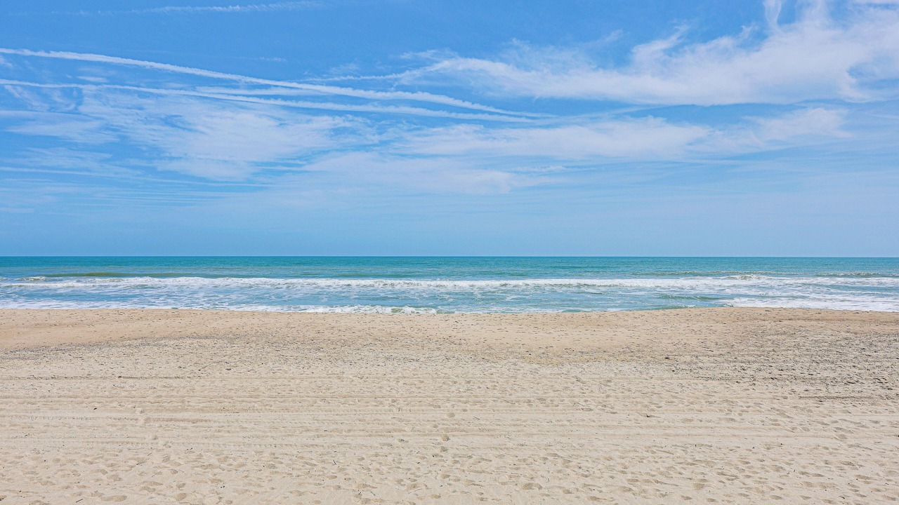 Photo of Others in Carolina Beach