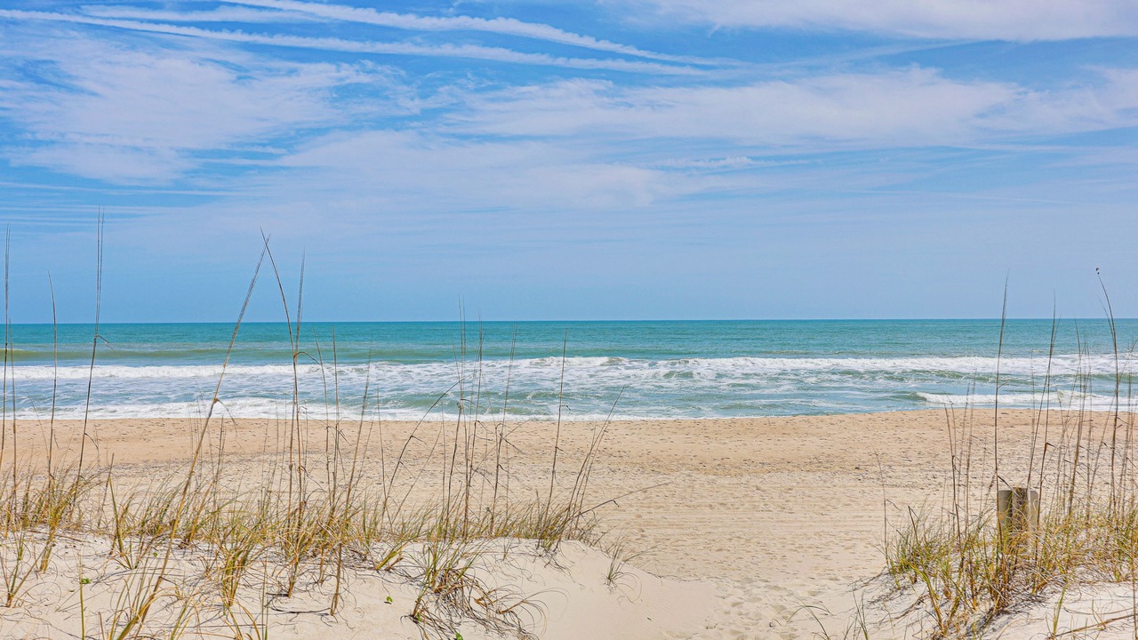 Photo of Others in Carolina Beach