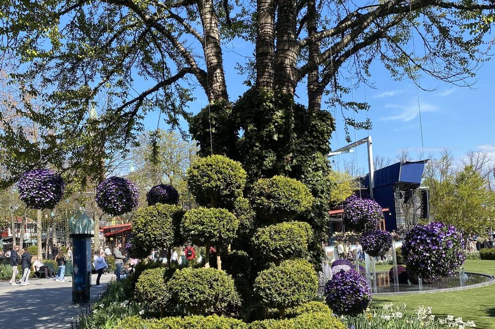Photo of Outdoor in Sydhavnen