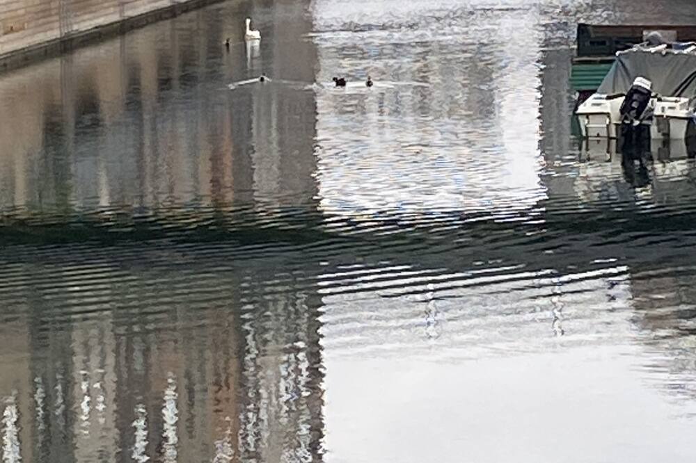 Photo of Others in Sydhavnen