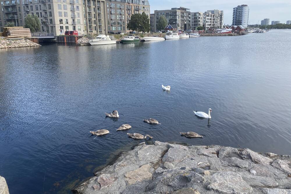 Photo of Outdoor in Sydhavnen