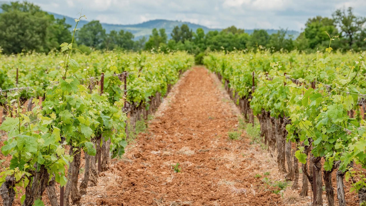 Photo of Outdoor in Nans-les-Pins