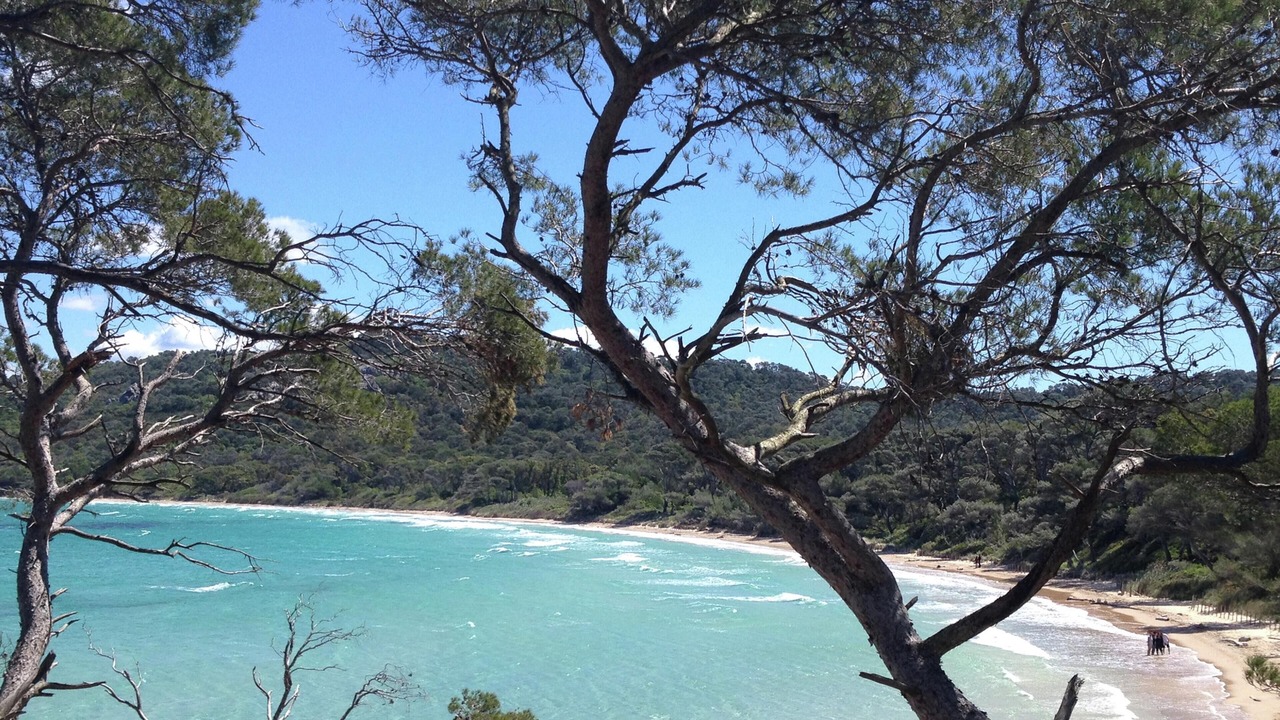 Photo of Others in Nans-les-Pins