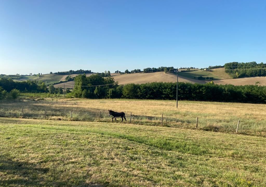Photo of Outdoor in Puycornet