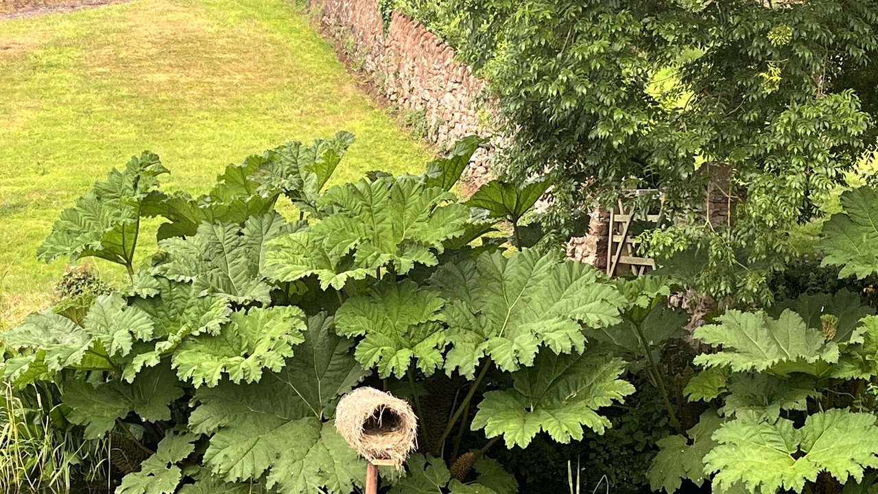 Photo of Others in Staplefield