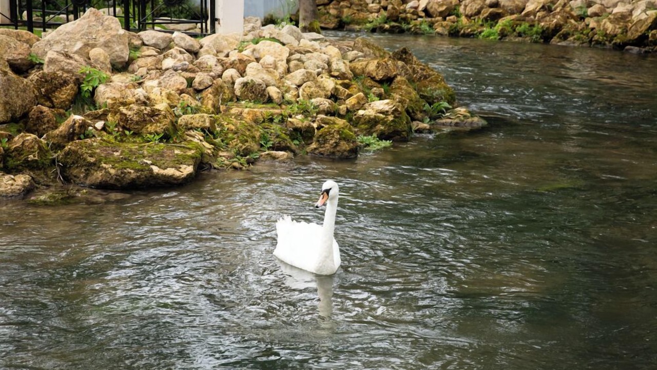 Photo of Outdoor in Fouquenies