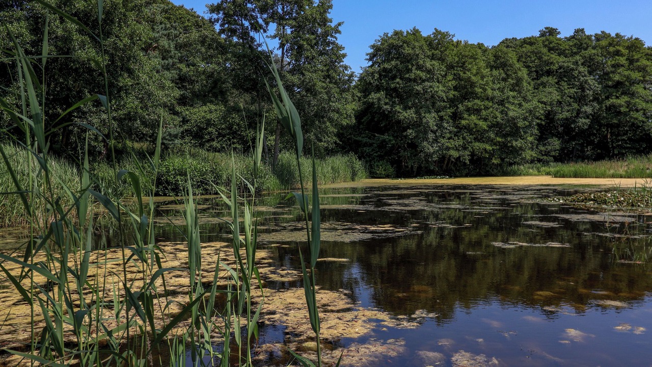 Photo of Others in Haddiscoe