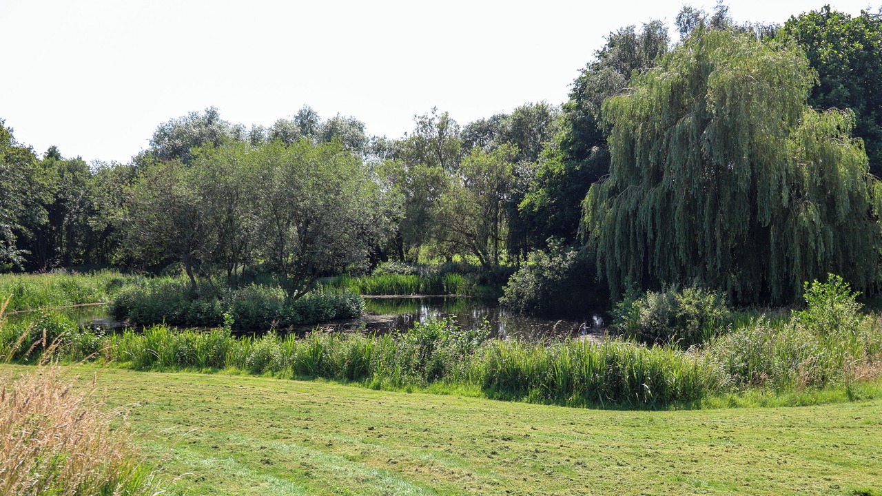 Photo of Others in Haddiscoe