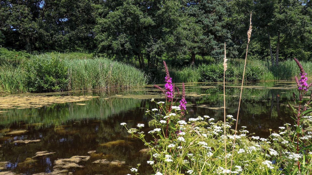 Photo of Others in Haddiscoe