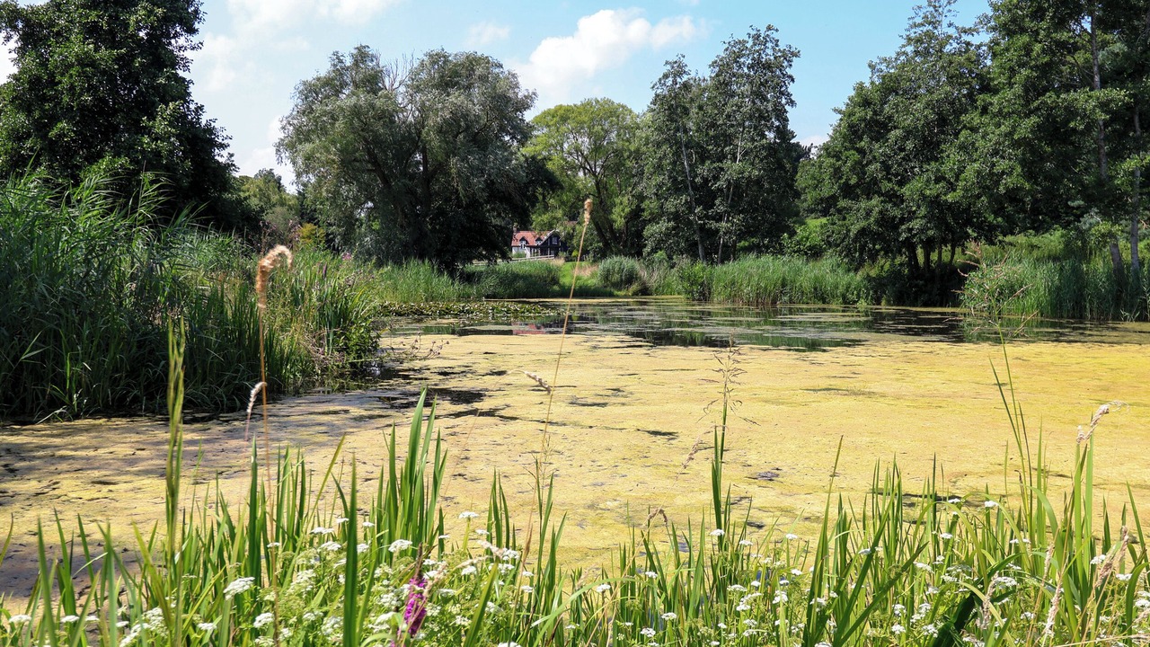 Photo of Others in Haddiscoe