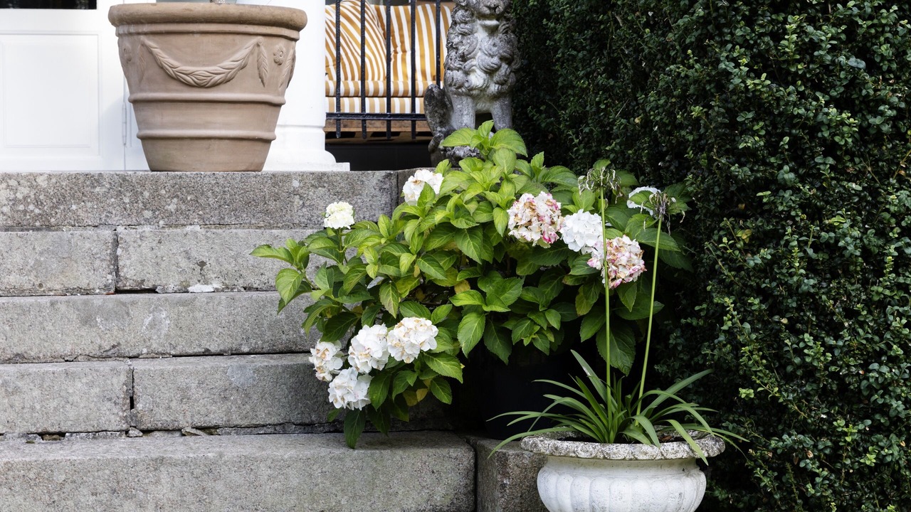 Photo of Outdoor in Holeby