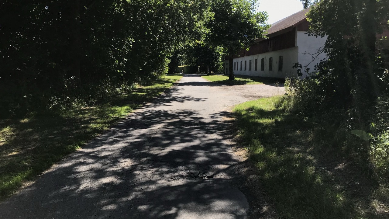 Photo of Others in Holeby