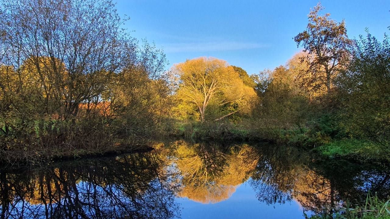 Photo of Others in Haddiscoe