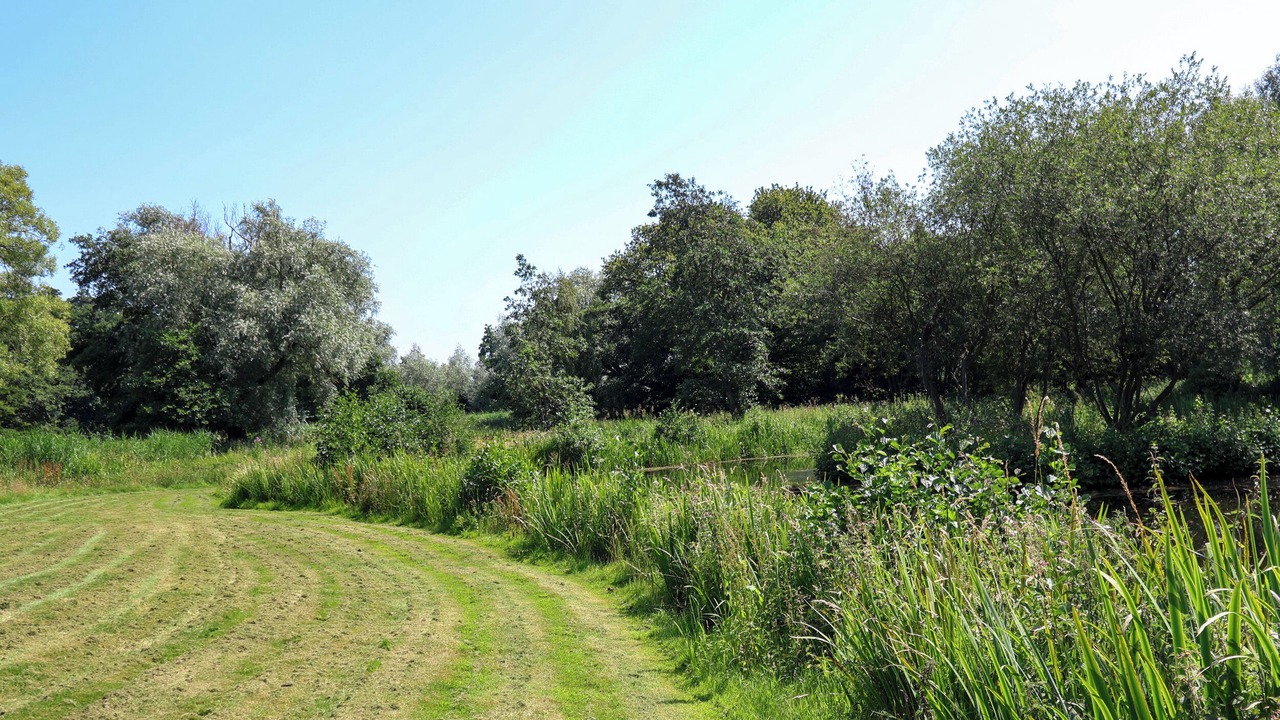 Photo of Others in Haddiscoe