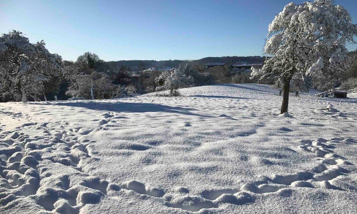 Photo of Others in Great Witley