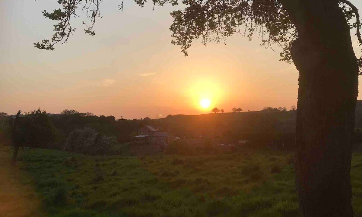 Photo of Outdoor in Great Witley