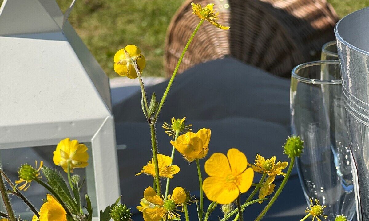 Photo of Outdoor in Great Witley