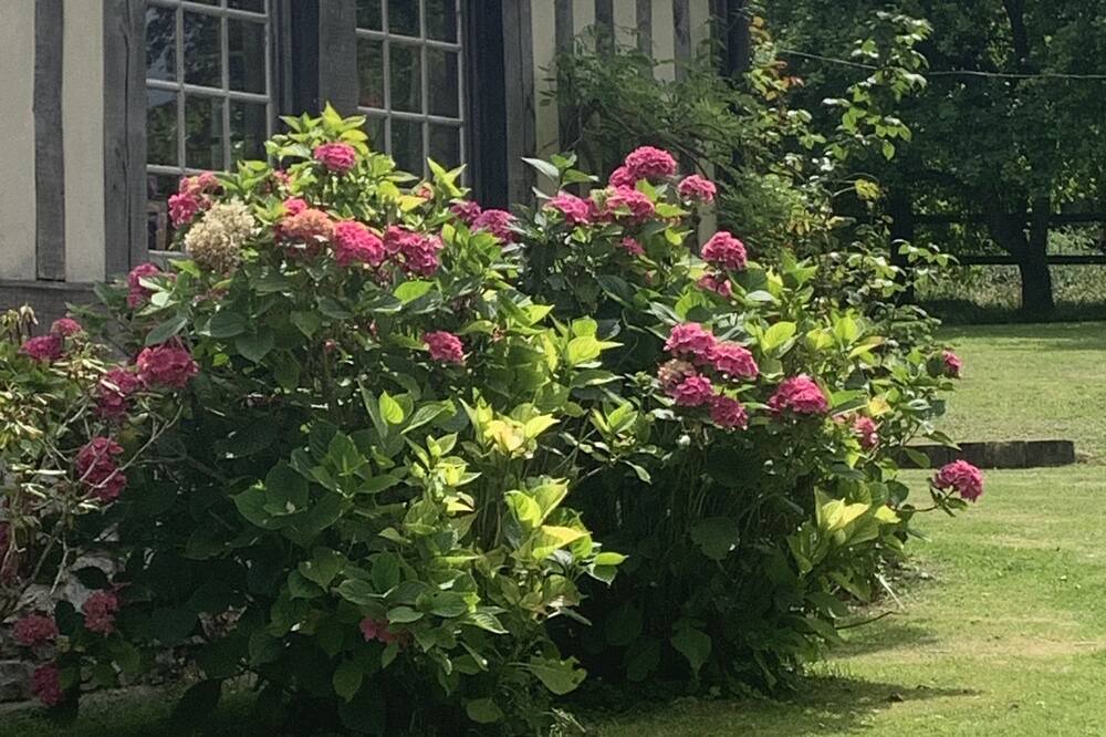 Photo of Outdoor in Manerbe
