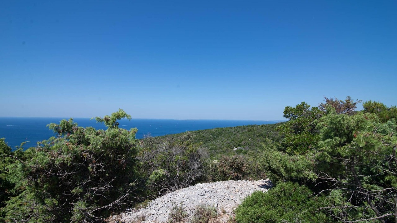 Photo of Outdoor in Veli Losinj
