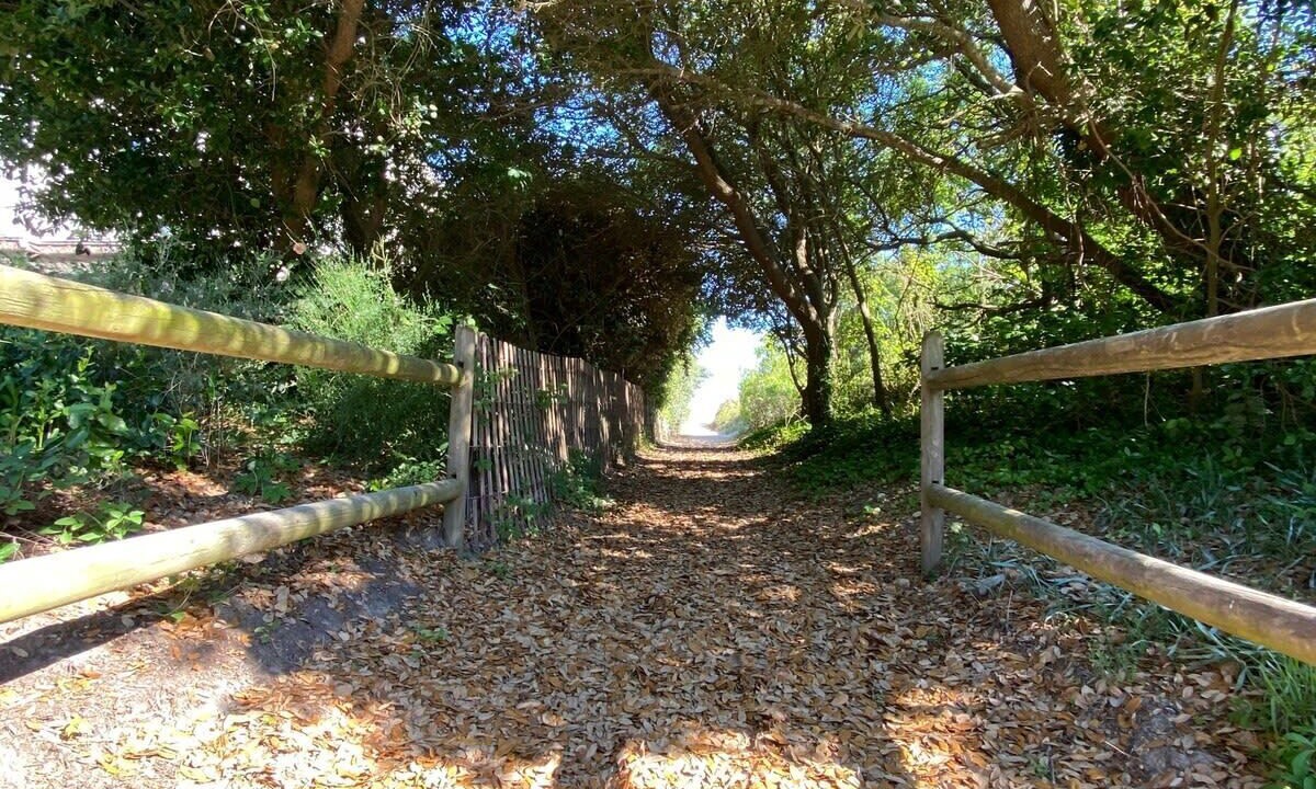 Photo of Outdoor in Northeast Virginia Beach
