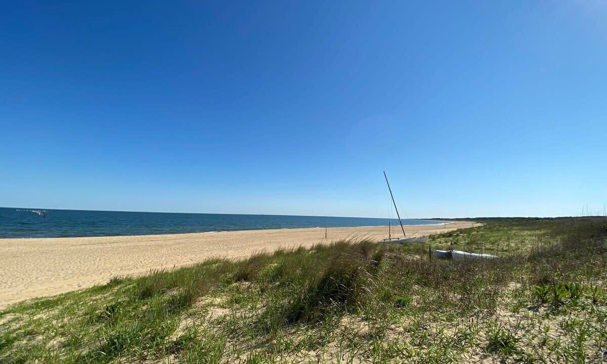 Photo of Others in Northeast Virginia Beach